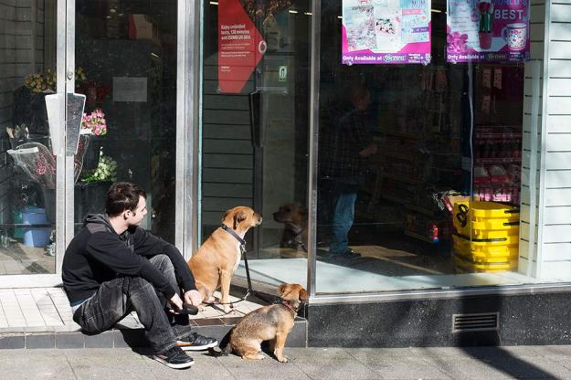 Fig. 7 Dogs Waiting - A man waits with two dogs outside a shop , the colours in the window display drew me to this shot but it is the man and two dogs both looking in the same direction that makes it interesting - 1/125 at f/11, ISO 100. 50mm prime lens